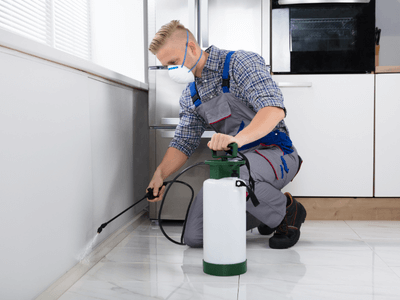 About Home Shieldix Solution - pest control experts in Pasco